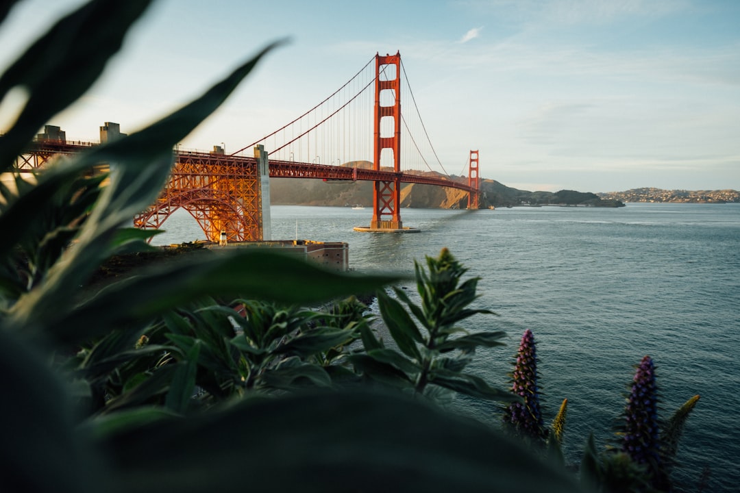The Art of Slow Travel: Embracing Nature’s Rhythm